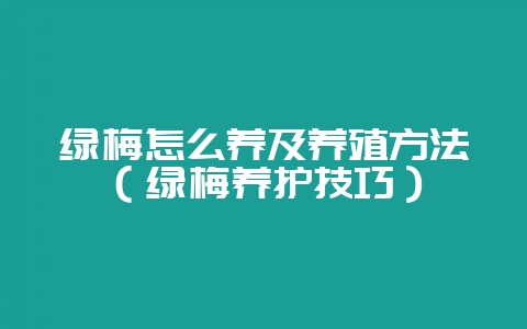绿梅怎么养及养殖方法（绿梅养护技巧）-会东网