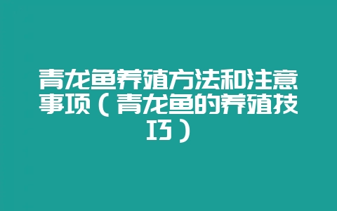 青龙鱼养殖方法和注意事项(青龙鱼的养殖技巧)-会东网
