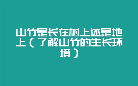 山竹是长在树上还是地上(了解山竹的生长环境)-会东网