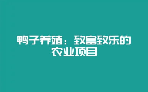 鸭子养殖：致富致乐的农业项目-会东网