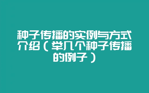 种子传播的实例与方式介绍（举几个种子传播的例子）-会东网