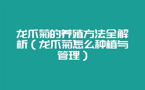 龙爪菊的养殖方法全解析(龙爪菊怎么种植与管理)-会东网