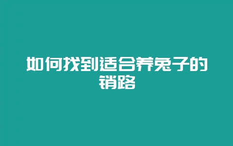 如何找到适合养兔子的销路-会东网