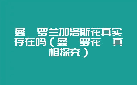 曼陀罗兰加洛斯花真实存在吗（曼陀罗花卉真相探究）-会东网