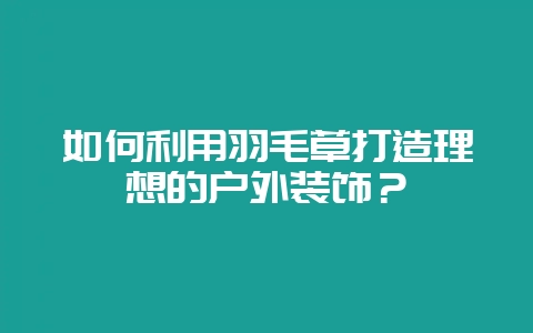 如何利用羽毛草打造理想的户外装饰？-会东网