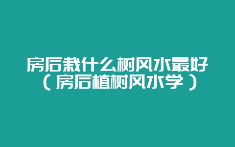 房后栽什么树风水最好（房后植树风水学）-会东网