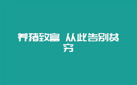 养猪致富 从此告别贫穷-会东网