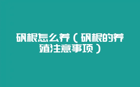 矾根怎么养(矾根的养殖注意事项)-会东网