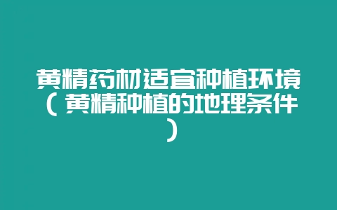 黄精药材适宜种植环境（黄精种植的地理条件）-会东网