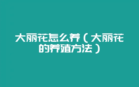 大丽花怎么养（大丽花的养殖方法）-会东网