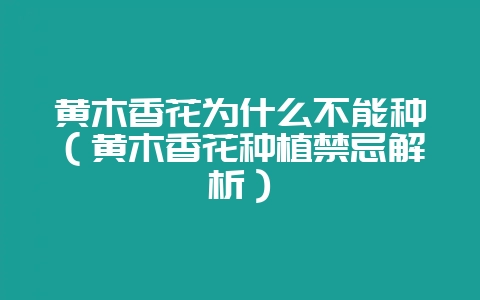 黄木香花为什么不能种(黄木香花种植禁忌解析)-会东网