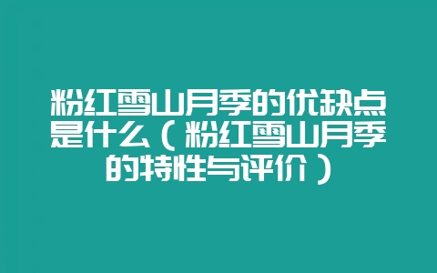 粉红雪山月季的优缺点是什么(粉红雪山月季的特性与评价)-会东网