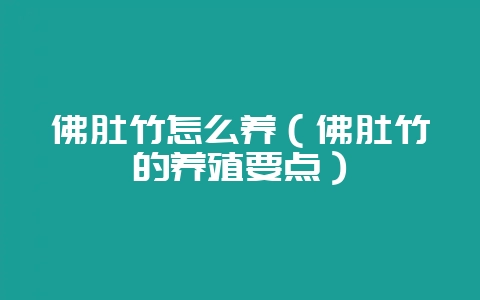 佛肚竹怎么养（佛肚竹的养殖要点）-会东网