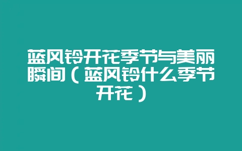 蓝风铃开花季节与美丽瞬间（蓝风铃什么季节开花）-会东网