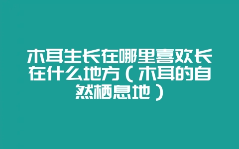 木耳生长在哪里喜欢长在什么地方(木耳的自然栖息地)-会东网