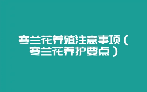寒兰花养殖注意事项（寒兰花养护要点）-会东网
