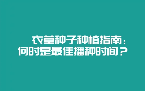 薰衣草种子种植指南：何时是最佳播种时间？-会东网