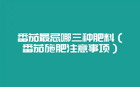 番茄最忌哪三种肥料（番茄施肥注意事项）-会东网