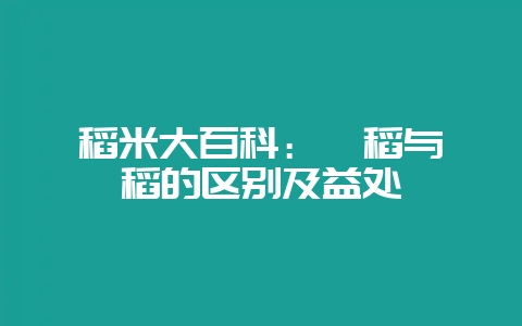 稻米大百科：籼稻与粳稻的区别及益处-会东网