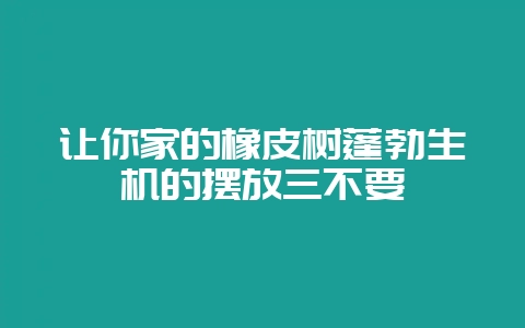 让你家的橡皮树蓬勃生机的摆放三不要-会东网