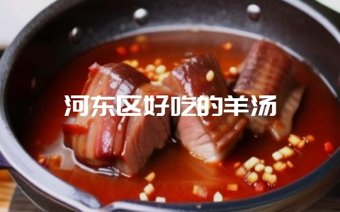 河东区好吃的羊汤-会东网