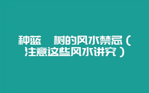 种蓝莓树的风水禁忌(注意这些风水讲究)-会东网