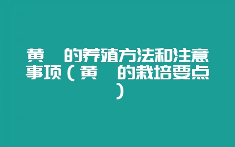 黄栌的养殖方法和注意事项(黄栌的栽培要点)-会东网