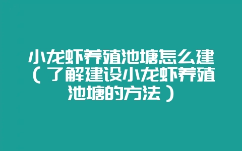 小龙虾养殖池塘怎么建（了解建设小龙虾养殖池塘的方法）-会东网