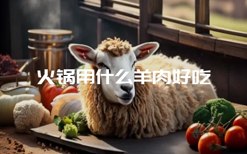 火锅用什么羊肉好吃-会东网