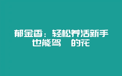 郁金香：轻松养活新手也能驾驭的花卉-会东网