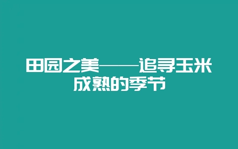 田园之美——追寻玉米成熟的季节-会东网