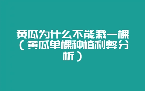 黄瓜为什么不能栽一棵（黄瓜单棵种植利弊分析）-会东网
