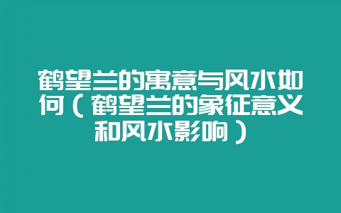 鹤望兰的寓意与风水如何(鹤望兰的象征意义和风水影响)-会东网