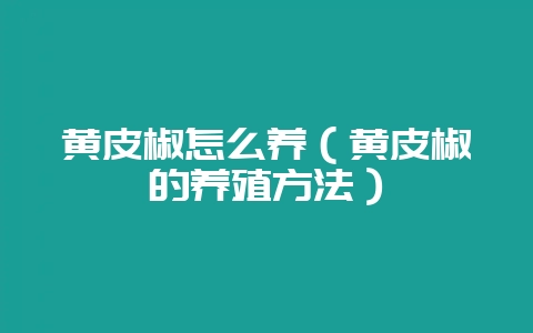 黄皮椒怎么养(黄皮椒的养殖方法)-会东网