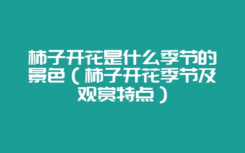 柿子开花是什么季节的景色（柿子开花季节及观赏特点）-会东网