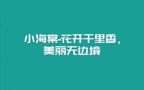 小海棠-花开千里香，美丽无边境-会东网