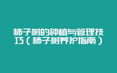 柿子树的种植与管理技巧（柿子树养护指南）-会东网
