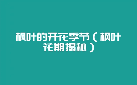 枫叶的开花季节（枫叶花期揭秘）-会东网