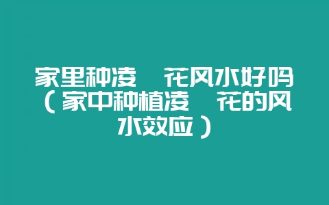 家里种凌霄花风水好吗（家中种植凌霄花的风水效应）-会东网
