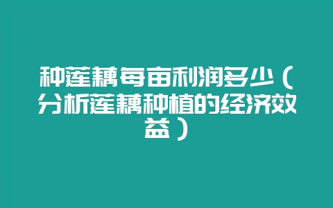 种莲藕每亩利润多少（分析莲藕种植的经济效益）-会东网