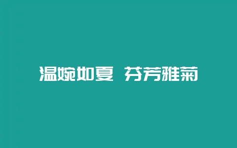 温婉如夏 芬芳雅菊-会东网