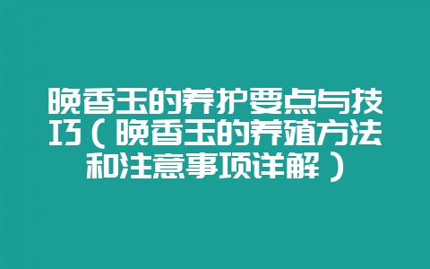晚香玉的养护要点与技巧(晚香玉的养殖方法和注意事项详解)-会东网