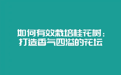 如何有效栽培桂花树:打造香气四溢的花坛-会东网