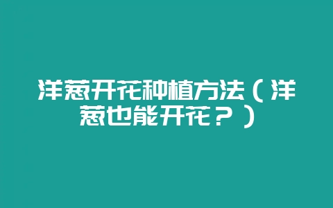 洋葱开花种植方法(洋葱也能开花?)-会东网