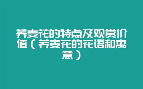 荞麦花的特点及观赏价值(荞麦花的花语和寓意)-会东网