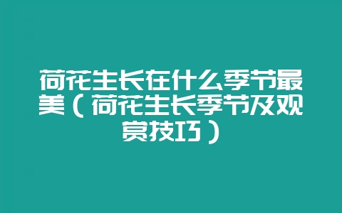 荷花生长在什么季节最美(荷花生长季节及观赏技巧)-会东网