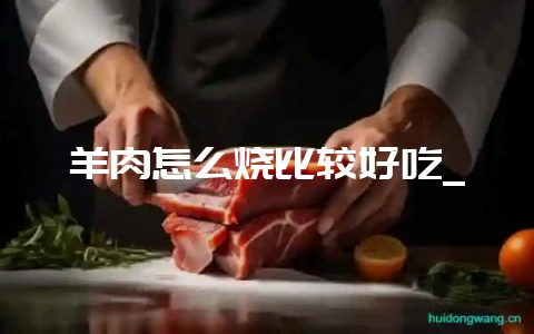羊肉怎么烧比较好吃_插图 羊肉怎么烧比较好吃_插图