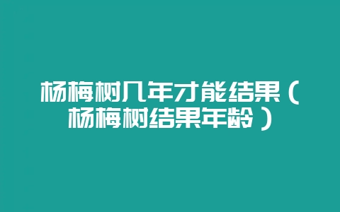 杨梅树几年才能结果（杨梅树结果年龄）-会东网