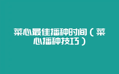 菜心最佳播种时间（菜心播种技巧）-会东网