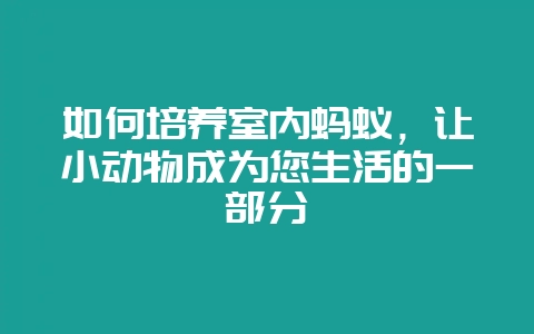 如何培养室内蚂蚁，让小动物成为您生活的一部分-会东网